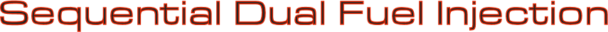 Sequential Dual Fuel System